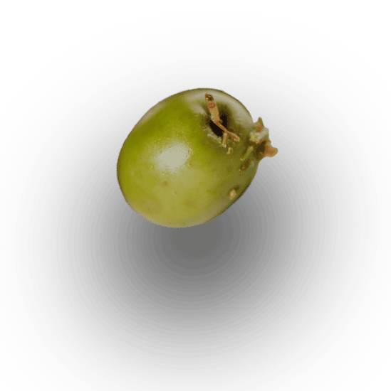 Olmeda - Orígenes