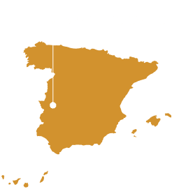Sobre 100g Jamón Ibérico de Bellota Packx10 - Olmeda Orígenes